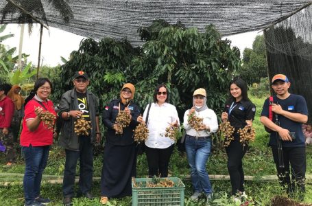 <strong>Sekda Sintang&nbsp; Kunjungi Petani di Desa Pagal Baru</strong>