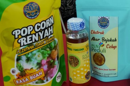 Ternak Madu Kelulut, Katini Raup Omset Jutaan Rupiah