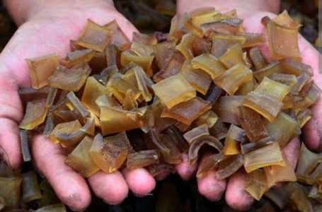 Bisnis Kuliner Kerupuk Kulit Sapi, Suryanti Untung Besar