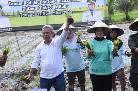 Bupati Ajak Generasi Muda Produktif Tanam Padi