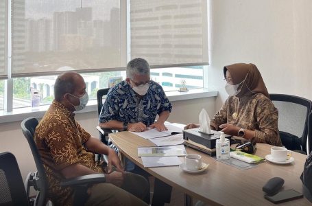 Bupati Erlina Lakukan Audiensi Bersama Kementerian Kesehatan