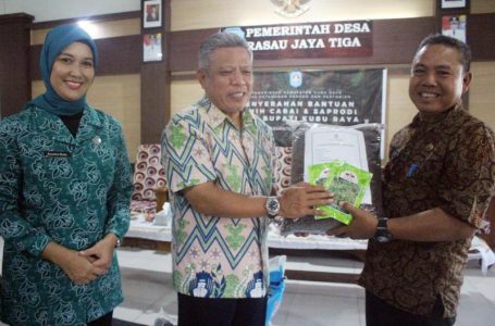 Bupati Kembali Berikan Bantuan Benih Cabai dan Saprodi