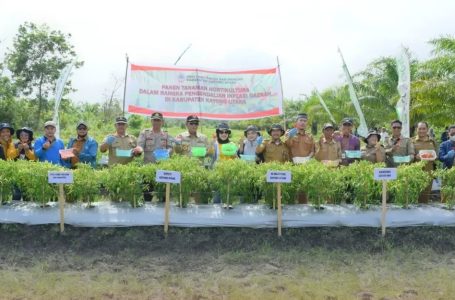 Bupati Tinjau Langsung Kondisi Lahan Tanaman Holtikultura