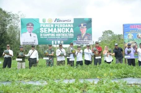 Wabup Pantau Hasil Panen Petani Millennial