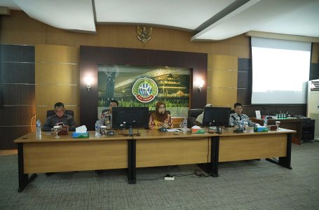 26 Naga Akan Meriahkan Cap Go Meh