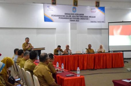Sosialisasi Kebijakan Pengangkatan dalam Jabatan Fungsional Resmi Dibuka