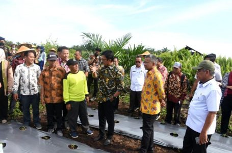 <strong>Musrenbang RKPD di Tingkat Kecamatan Sukses Digelar</strong>
