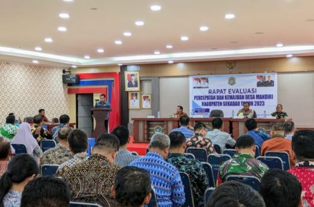 Pemda Harap IDM Meningkat