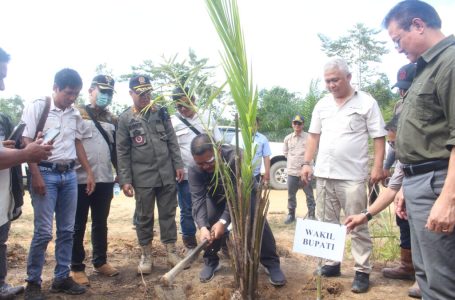 Tanam Perdana Program Kemitraan PT. Agro Andalan Sukses Digelar