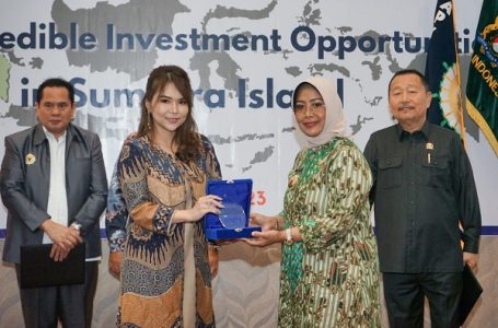 Erlina Perkenalkan Mempawah di Forum SRIG