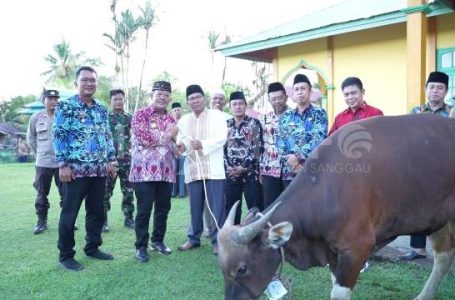 Jelang Hari Raya Idul Adha, Bupati Sanggau Serahkan Hewan Kurban