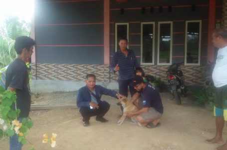Pemberian Vaksinasi Pada Hewan Peliharaan di Sintang
