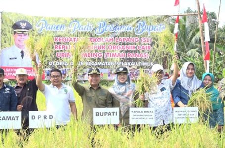 Panen Perdana Padi Varietas Inpari 37 Desa Gelik, Bupati Harapkan Semangat Petani Tidak Surut