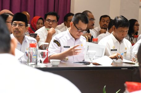 Romi wijaya: Kolaborasi kunci entaskan kemiskinan ekstrim dan stunting