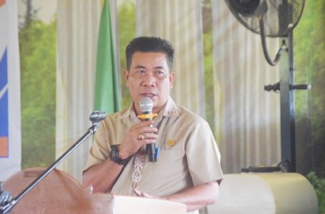 Musrenbang Binjai Hulu: Usulan Jalan, Jembatan, dan Listrik Dominasi