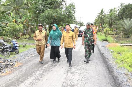 Ditinjau Bupati Satono, Pembangunan Jalan Sarilaba – Matang Suri Hampir Rampung Pengerjaannya