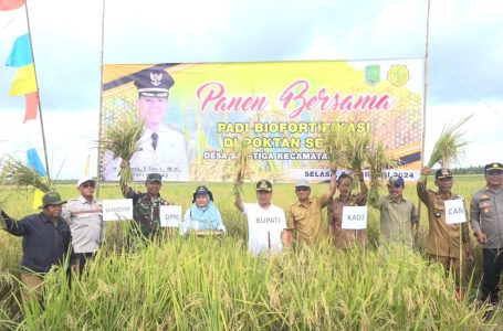 Bupati Satono Puji Poktan Salatiga Panen Padi Nutrizink 9.7 Ton Perhektar