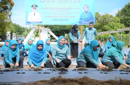 TP. PKK Kayong Utara Gelar Gerakan Tanam Cabai Serentak dalam Rangka HKG ke-52