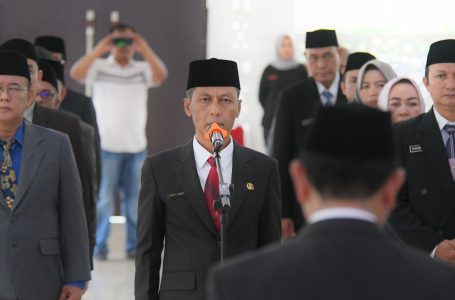Rene Rienaldy Dilantik Menggantikan Romi Wijaya